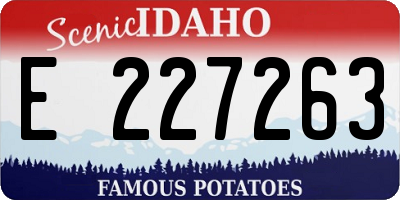 ID license plate E227263