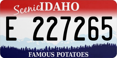 ID license plate E227265