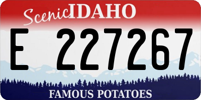 ID license plate E227267