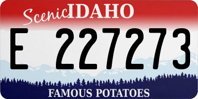 ID license plate E227273