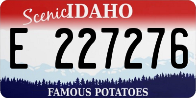 ID license plate E227276