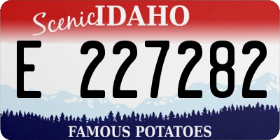 ID license plate E227282