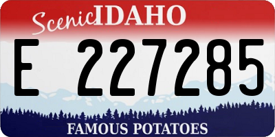 ID license plate E227285