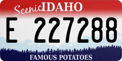 ID license plate E227288