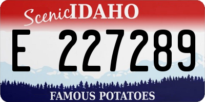 ID license plate E227289