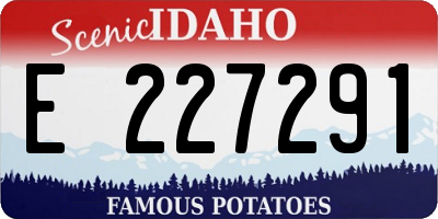 ID license plate E227291