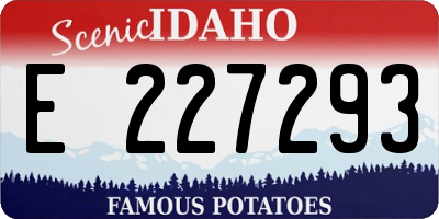 ID license plate E227293