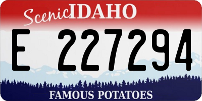 ID license plate E227294