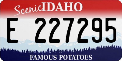 ID license plate E227295