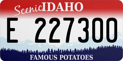 ID license plate E227300
