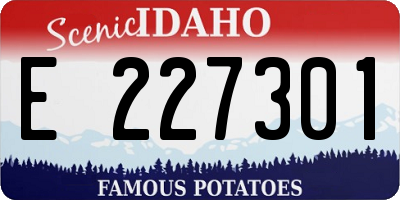 ID license plate E227301