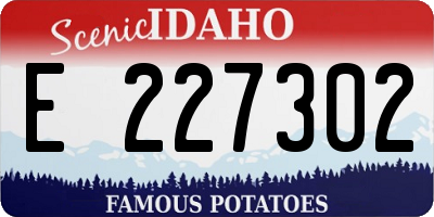 ID license plate E227302