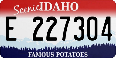 ID license plate E227304