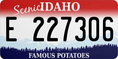 ID license plate E227306