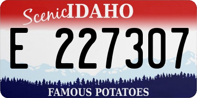 ID license plate E227307