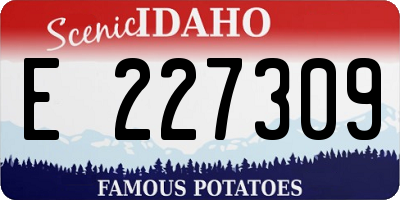 ID license plate E227309