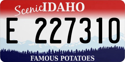 ID license plate E227310