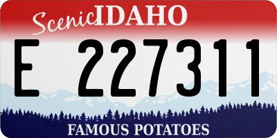 ID license plate E227311
