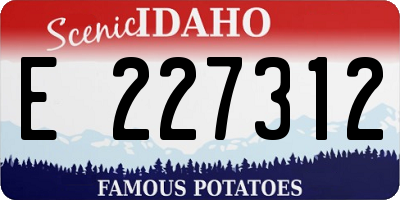ID license plate E227312