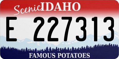 ID license plate E227313