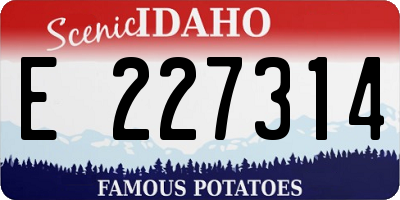 ID license plate E227314
