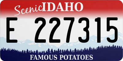 ID license plate E227315