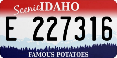 ID license plate E227316