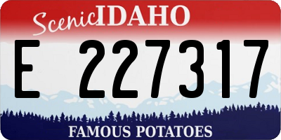 ID license plate E227317