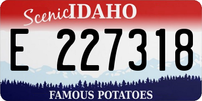 ID license plate E227318
