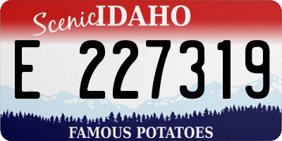 ID license plate E227319
