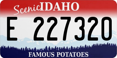 ID license plate E227320