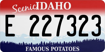 ID license plate E227323