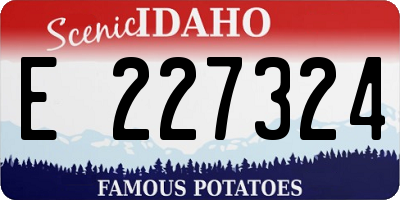 ID license plate E227324