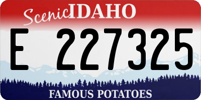 ID license plate E227325