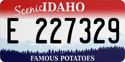 ID license plate E227329