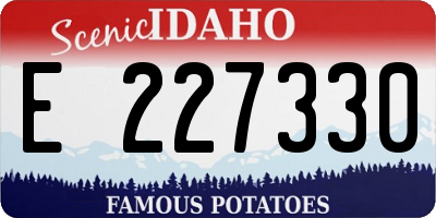 ID license plate E227330