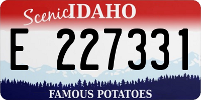 ID license plate E227331