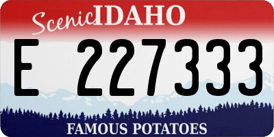 ID license plate E227333