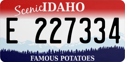ID license plate E227334