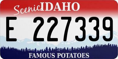 ID license plate E227339