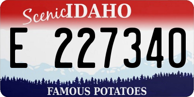 ID license plate E227340