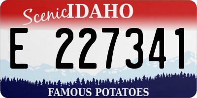 ID license plate E227341