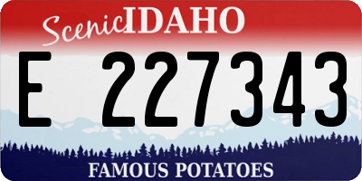 ID license plate E227343