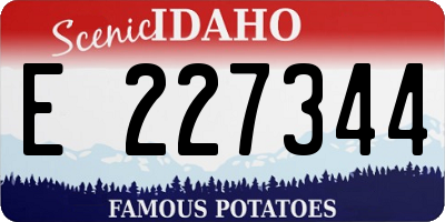 ID license plate E227344
