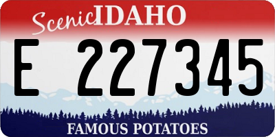 ID license plate E227345