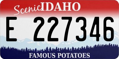 ID license plate E227346