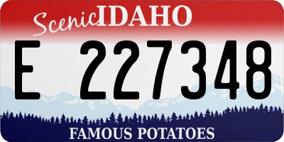 ID license plate E227348