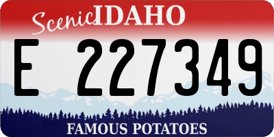 ID license plate E227349
