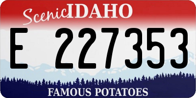 ID license plate E227353