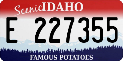 ID license plate E227355